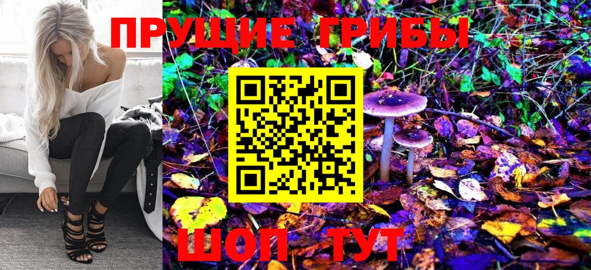 Мелеуз  Галлюциногенные грибы Psilocybe  Вход с VPN 