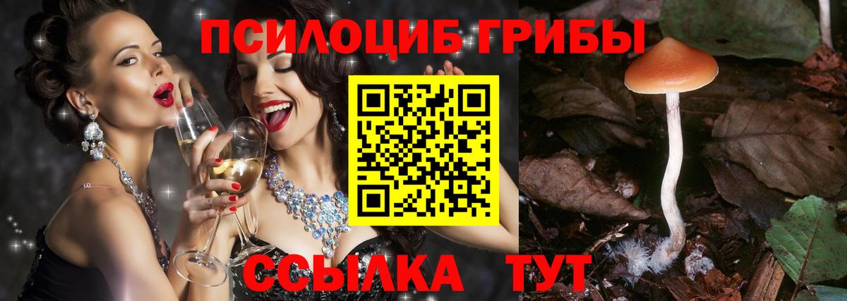 Галлюциногенные грибы MAGIC MUSHROOMS Мелеуз